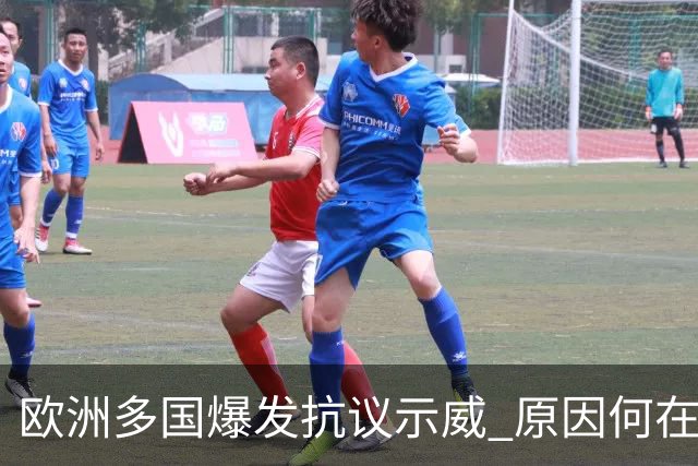 欧洲多国爆发抗议示威 原因何在？影响几何？